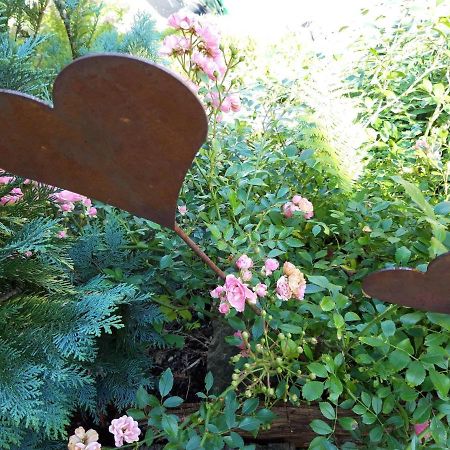 Wangen im Allgäu Ferienwohnung Rosa Muller المظهر الخارجي الصورة